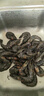 北海灣 高品質(zhì)活凍黑虎蝦 超大蝦類(lèi)大蝦生鮮老虎蝦冰鮮印度海蝦盒裝送禮 16-19cm【高品質(zhì)】 1000g(凈重) 曬單實(shí)拍圖