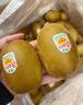佳沛（zespri）綠奇異果經(jīng)典果16粒禮盒單果約86-103g 水果 獼猴桃 曬單實(shí)拍圖