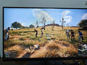 雷神黑武士23.8英寸2K240Hz原生 Fast IPS 硬件低藍(lán)光 HDR450nit 游戲電競(jìng)升降旋轉(zhuǎn)顯示器JQ24F240L 曬單實(shí)拍圖