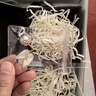 Jay西服胸針高檔女胸花禮盒送媽媽婆婆長(cháng)輩生日禮物 金色 曬單實(shí)拍圖