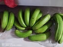 鮮美驚 【順豐包郵】廣西北海潿洲島香蕉火山綠皮青皮蕉無(wú)加劑自然捂熟 5.5斤  潿洲島發(fā)貨 曬單實(shí)拍圖