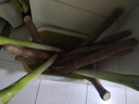 京鮮生 河南焦作溫縣壚土鐵棍山藥凈重5斤 單根40cm+ 蔬菜 源頭直發(fā) 曬單實拍圖