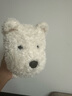 babycare&bct兒童毛絨玩具狗電子哈基米寵物玩偶節(jié)日生日七夕禮物西高地犬 曬單實拍圖
