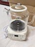 APIXINTL【新品】日本安本素恒溫養生壺辦公室0膠水養生燒水壺全玻璃煮茶壺1.6L容量多功能電熱水壺 1.6L 【聚能發(fā)熱盤(pán)+精準控溫】 曬單實(shí)拍圖