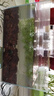 YEE超白魚缸桌面客廳生態(tài)斗金魚烏龜缸造景小型水草養(yǎng)魚玻璃裸缸50cm 曬單實(shí)拍圖