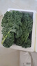 羽衣甘藍(lán)新鮮生鮮蔬菜嫩葉甘蘭芥藍(lán)西餐沙拉榨汁減肥減脂 羽衣甘藍(lán)閨蜜2斤裝 曬單實(shí)拍圖