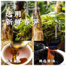 樓外樓油燜春筍手剝脆筍鮮嫩爽口家常杭州特產休閑美味即食零食江南味道 油燜筍200g*2袋 曬單實拍圖