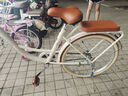 飛鴿（FLYING PIGEON）自行車成人通勤車自行車學(xué)生單車成人自行車通勤自行車女士自行車 標(biāo)配奶油米|單速|(zhì)輻條輪+禮包 24寸適合150-170cm 曬單實拍圖