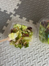 一號(hào)農(nóng)場活力蔬菜沙拉碗6種蔬菜開盒即食輕食健身代餐160g*3碗源頭直發(fā) 曬單實(shí)拍圖