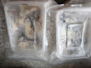新鮮生蠔肉速凍去殼海鮮 250g/盒原漿生蠔肉 2盒 曬單實(shí)拍圖
