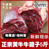新鮮谷飼牛腱子醬鹵火鍋紅燒清燉牛肉原切牛腱子 黃牛牛肉 5斤腱子 曬單實(shí)拍圖