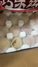 京鮮生 山東蒙陰水蜜桃凈重4.5斤 單果150g+毛桃子 生鮮水果 源頭直發(fā) 曬單實(shí)拍圖