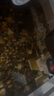 松寶（sobo）魚缸過濾器三合一循環(huán)過濾器增氧泵水泵抽水吸便凈水AQ-6000F款4W 曬單實拍圖