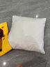 靈感印象卡通刺繡抱枕美式高檔抱枕套客廳沙發(fā)靠墊復古風(fēng)裝飾靠枕床頭腰靠 獅子爸爸-毛巾繡抱枕 枕套 45*45cm枕套+枕芯 曬單實(shí)拍圖