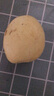正宗河北皇冠梨產(chǎn)地直發(fā)深澤皇冠梨10 皇冠梨帶箱2斤裝凈重1.6-1.8斤 曬單實(shí)拍圖