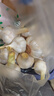 京地達2025山東新鮮白皮大蒜 濕蒜 凈重3斤直徑4-6cm 鮮蒜 源頭直發(fā)包郵 曬單實(shí)拍圖