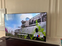 東芝電視65Z500QF 65英寸 Mini LED控光 144Hz 3+128GB 火箭炮音響 4K超清 以舊換新家電國(guó)家補(bǔ)貼 曬單實(shí)拍圖