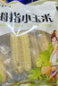 尋尚 拇指珍珠 精品小玉米 1斤（約10根）小巧可愛(ài)軟糯 兒童營(yíng)養(yǎng)早餐 曬單實(shí)拍圖