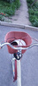 鳳凰（Phoenix）自行車(chē)成人男女通用城市通勤青少年單車(chē)女芭蕾 26英寸米黃色 曬單實(shí)拍圖