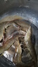 鮮活大海白蝦300g（約12-18只） 曬單實(shí)拍圖