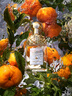 嬌蘭（Guerlain）花草水語(yǔ)柑橘羅勒淡香水75ml化妝品香氛禮盒教師節生日禮物 曬單實(shí)拍圖