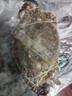 舟山梭子蟹鮮活特大野生大螃蟹新鮮冷凍海鮮水產(chǎn)海蟹飛蟹白蟹 特大肉蟹 【凈重8兩以上/只】 5斤 曬單實拍圖