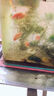 百綸木千草金魚觀賞魚冷水魚不加溫新手好養(yǎng)純種鳳尾大紅草魚苗 3-5cm草金魚20條 送魚糧 曬單實(shí)拍圖