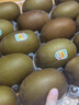 佳沛（zespri）新西蘭  陽光金奇異果25-27粒原箱特大果單果約122-146g  獼猴桃 曬單實拍圖