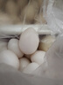 硒全食美 富硒精品新鮮鴿子蛋 30枚 550g 孕婦兒童寶寶鴿子蛋中秋送禮 曬單實拍圖