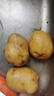 彩虹雨北京農場(chǎng)有機蔬菜有機黃心土豆馬鈴薯 500g自有農場(chǎng)歐盟認證 曬單實(shí)拍圖