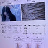 岡株制藥岡株制藥黑松露氨基酸多肽片黑根靈根源內(nèi)調(diào)從根部長黑 買2送1【體驗(yàn)裝】滋養(yǎng)發(fā)根 養(yǎng)發(fā)護(hù)發(fā) 曬單實(shí)拍圖