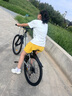 鳳凰（Phoenix）山地自行車成人學(xué)生兒童碟剎越野變速單車 ZB888 26英寸24速灰色 曬單實拍圖