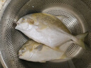 恒興食品 原條金鯧魚2斤 4條裝 BAP認證海鮮生鮮深海魚火鍋食材  曬單實拍圖