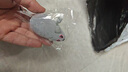 逗貓玩具毛絨仿真小老鼠上鏈發(fā)條植絨自嗨解悶帶羽毛尾巴樣式多 灰色【發(fā)條顏色隨機(jī)】 曬單實(shí)拍圖
