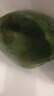 京鮮生 攀枝花凱特芒果 凈重4.5斤 帶箱5斤 單果400g+ 生鮮水果源頭直發(fā) 曬單實(shí)拍圖