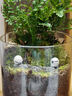 八芽趣味鮮活苔蘚微型景觀(guān)創(chuàng  )意室內桌面生態(tài)綠植盆栽盆景懶人好養植物 清境草原 帶玻璃杯 曬單實(shí)拍圖