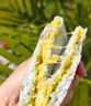 滇品客農(nóng)科院青稞餅云南特產(chǎn)青稞小米餅藜麥小黃米粑粑五黑粗糧早餐代餐 青稞黃米餅 306克x1袋（共6枚） 曬單實(shí)拍圖