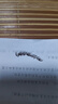 三資堂二叉眉筆彎頭迷灰棕 持久防水防汗野生眉初學(xué)新手易上手 送女友 曬單實(shí)拍圖