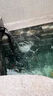 魚池水循環(huán)過濾系統(tǒng)大型錦鯉池凈水過濾器庭院室外水池外置過濾箱 42立方魚池用全套 【升級面吸除 曬單實拍圖
