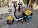 立馬【教師節禮物】電動(dòng)摩托車(chē)MINI 80公里長(cháng)續航1200W電機60V20Ah鉛酸電池家用校園電動(dòng)車(chē) 檸檬密黃 曬單實(shí)拍圖