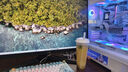 AMD 銳龍5/7/9 7600X 7700X 7900X 7950X 處理器AM5接口 盒裝CPU 銳龍7 7800X3D 散片CPU 曬單實(shí)拍圖