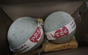 京鮮生 西州蜜哈密瓜 凈重8-9斤2-4粒 源頭直發(fā) 包郵  曬單實拍圖