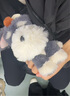 babycare毛絨小旋風(fēng)玩具玩偶生日禮物送女生兒童可愛(ài)掛件鑰匙扣雪納瑞 曬單實(shí)拍圖