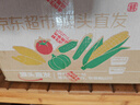 京鮮生 東北黃糯玉米260g*10棒 新鮮甜糯玉米棒真空包裝粘玉米 源頭直發(fā) 曬單實(shí)拍圖
