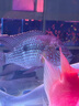 森森（SUNSUN）滴流盒魚(yú)缸過(guò)濾器水循環(huán)過(guò)濾盒壁掛頂部過(guò)濾槽低音凈水系統上濾盒 2個(gè)抽屜式壁掛滴流盒(水管+棉) 曬單實(shí)拍圖