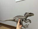 Jurassic World生日禮物侏羅紀(jì)世界偽裝攻擊暴虐霸王龍大號(hào)恐龍仿真模型HNT63 曬單實(shí)拍圖