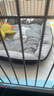憨憨樂園 寵物貓窩狗窩M貓咪睡袋貓房子幼犬床秋冬大型泰迪四季墊子通用款 曬單實(shí)拍圖