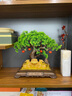 發(fā)財(cái)樹擺件金蟾客廳辦公室店鋪前臺(tái)裝飾品白菜開業(yè)擺件工藝品 【順豐】YX12寸金蟾納財(cái)迎客松39 曬單實(shí)拍圖