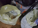 盛夏光年 GALA拉拉褲XXXL碼26片（18kg+）超薄特大號透氣尿不濕嬰兒訓練褲 曬單實拍圖