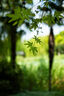 唯卓仕25mm F1.7鏡頭自動(dòng)對焦大光圈定焦鏡頭適用于X/Z/E口微單相機人文掃街掛機鏡頭 AF 25mm F1.7 Air Z（尼康口） 官方標配 曬單實(shí)拍圖